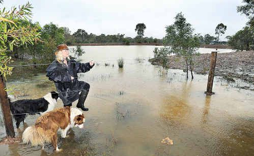 Kerrie Alexander from Nikenbah, with her dogs Tallis and Webcke, has full tanks and a full dam after Tuesday night’s downpour. Kerrie Alexander from Nikenbah, with her dogs Tallis and Webcke, has full tanks and a full dam after Tuesday night’s downpour.